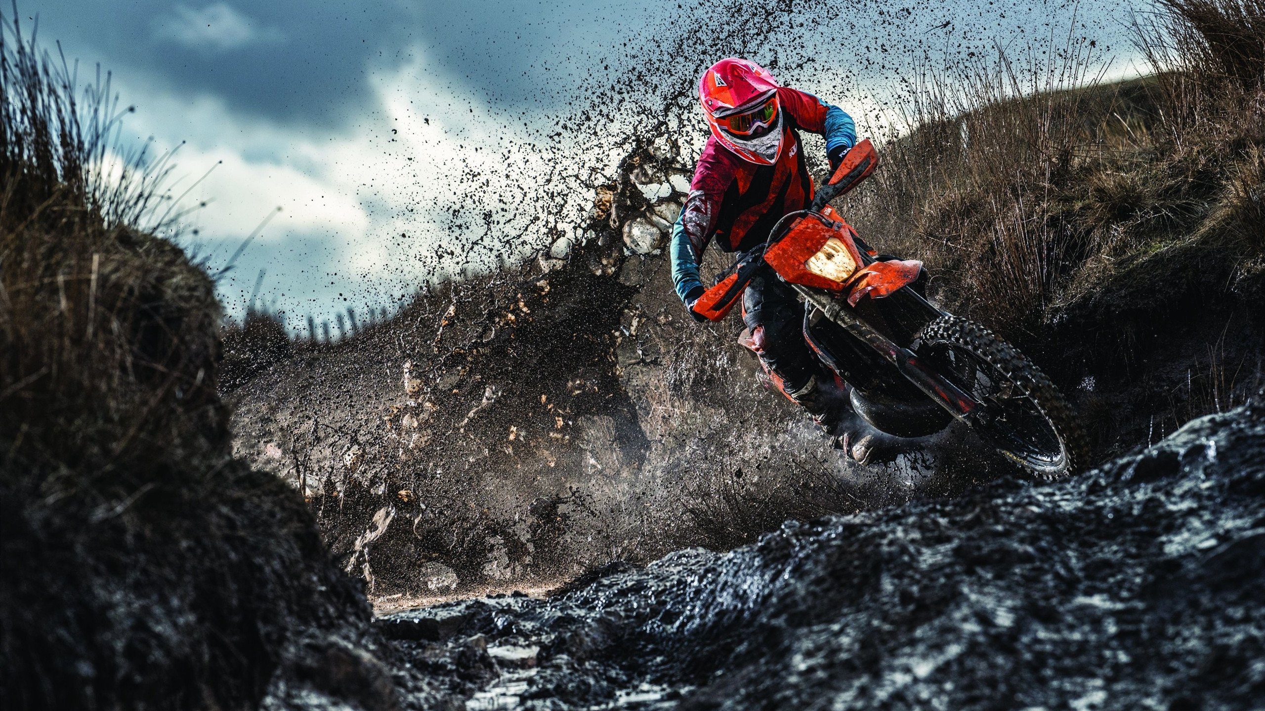 德甲争冠战成非洲杯续集,塞内加尔铁血意志如何击溃埃及法老?